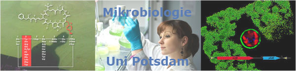 Mikrobiologie Uni Potsdam